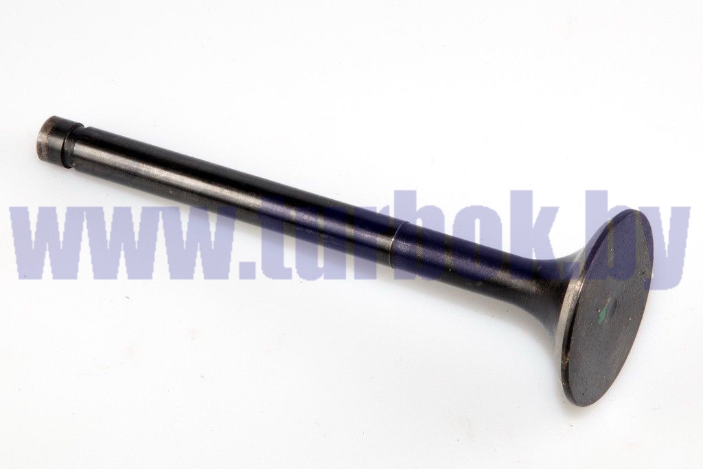 Клапан выпускной маленький