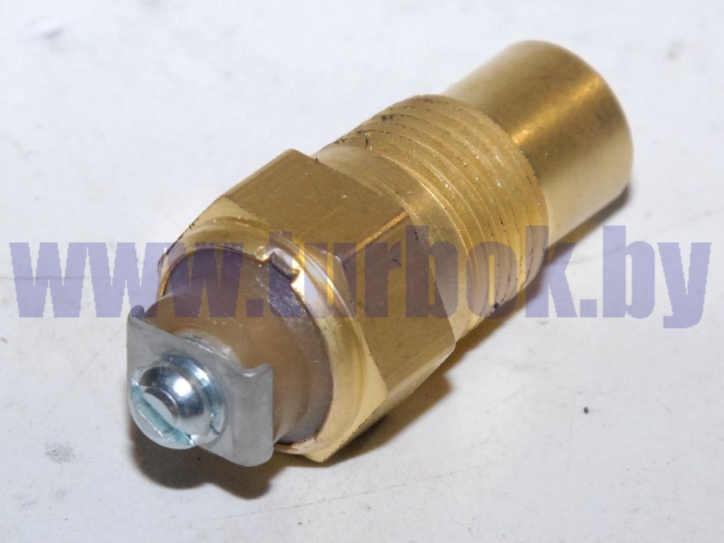 Датчик указателя температуры жидкости (винт М4) МАЗ