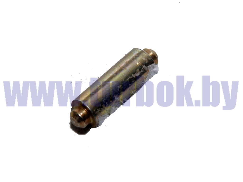 Ось ограничителя двери