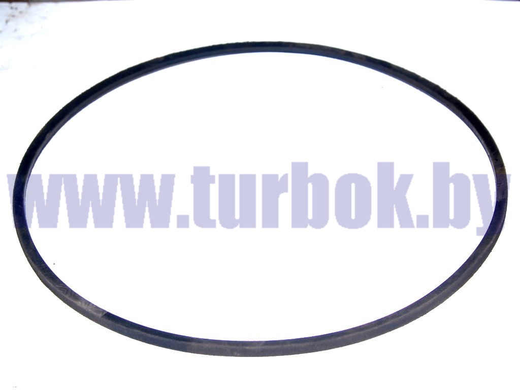 Ремень генератора МАЗ-256 (плоский)