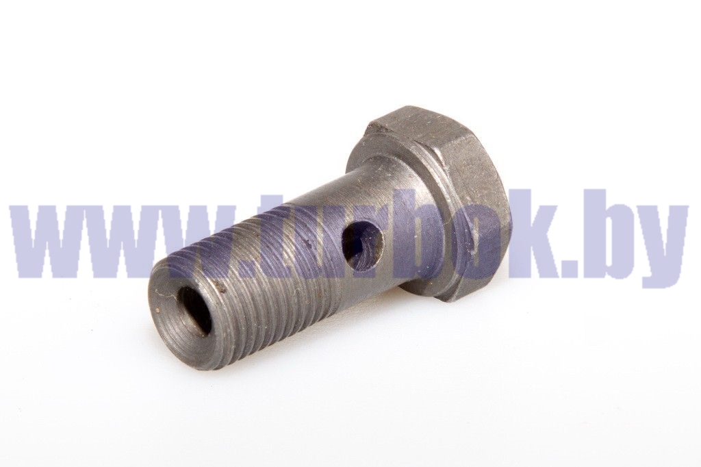 Болт-штуцер М10*1*22