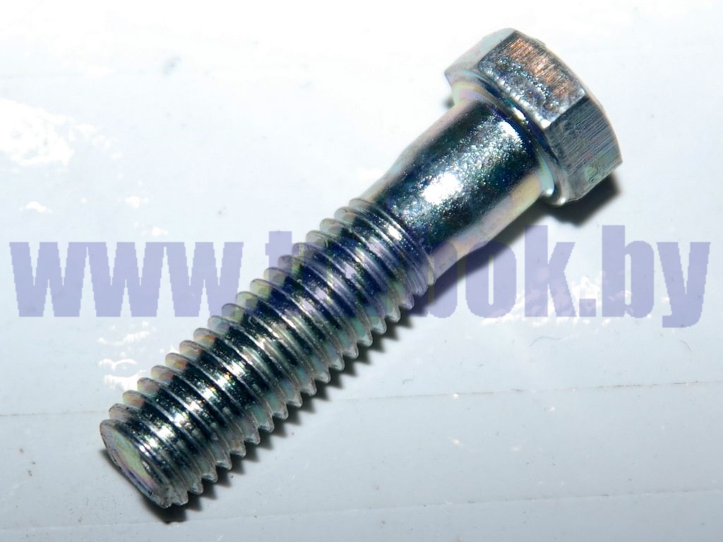 Болт М10*1.25-6g*40
