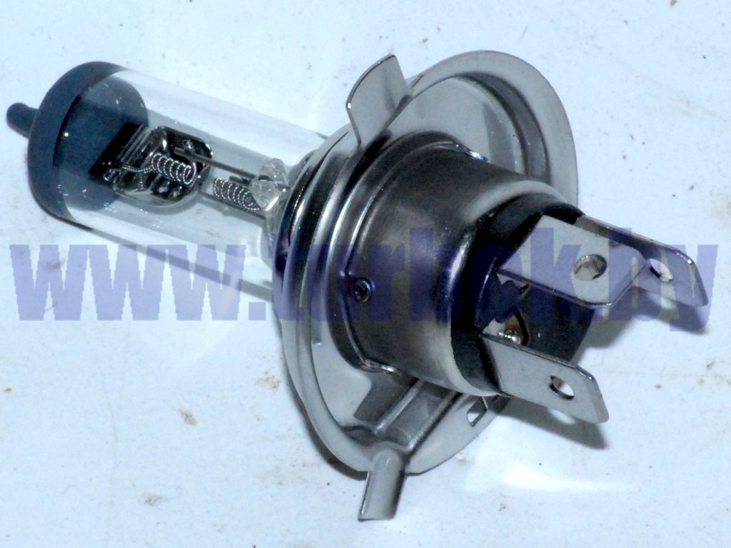 Лампочка 24В фары галогенная