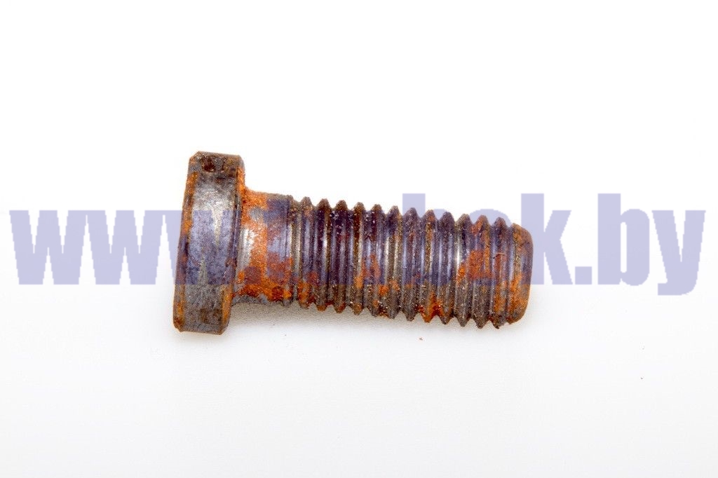 Винт специальный