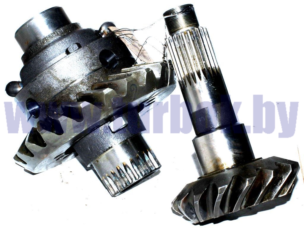 Шестерня ведущая и ведомая  овальное банджо (z=24/15)