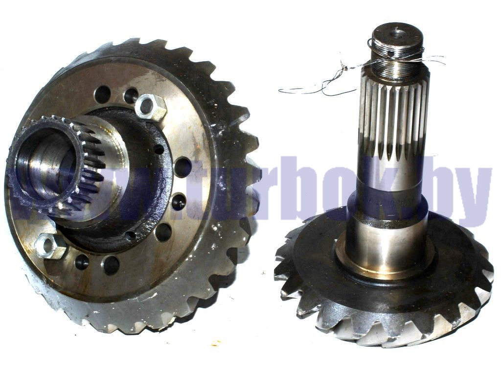 Шестерня ведущая и ведомая  овальное (z=29/21)