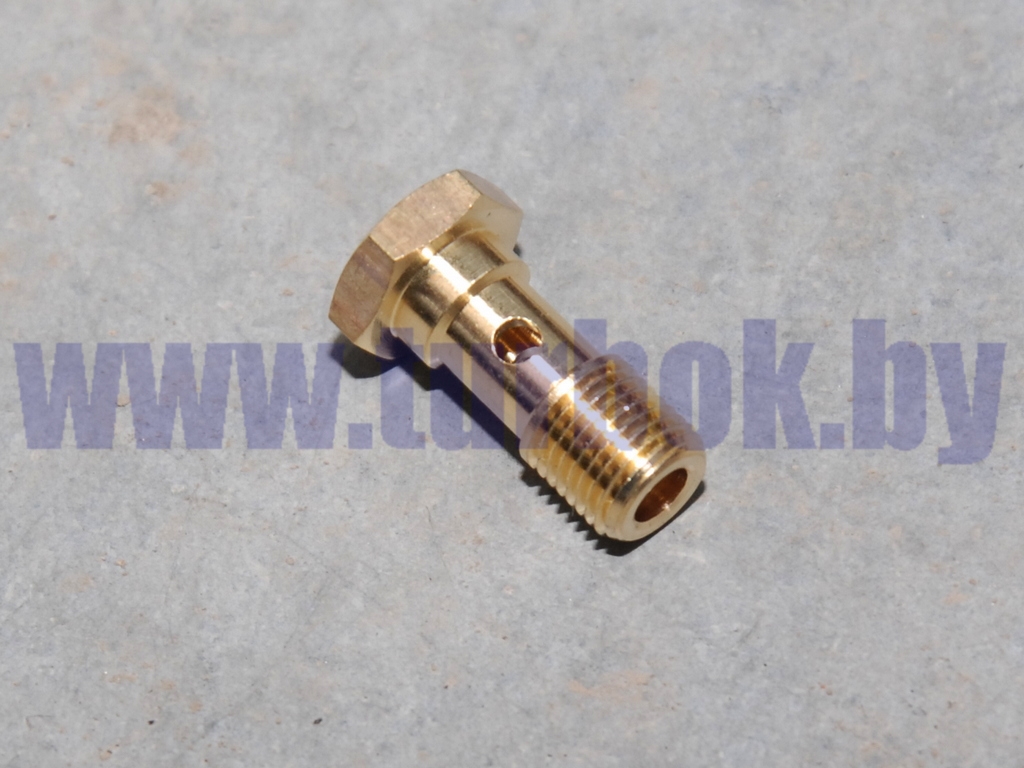 Болт М10*1 S-01 трубки обратки, топливной подводящей ТНВД ЯМЗ-656, 658/1631 01-М10Х1-S01