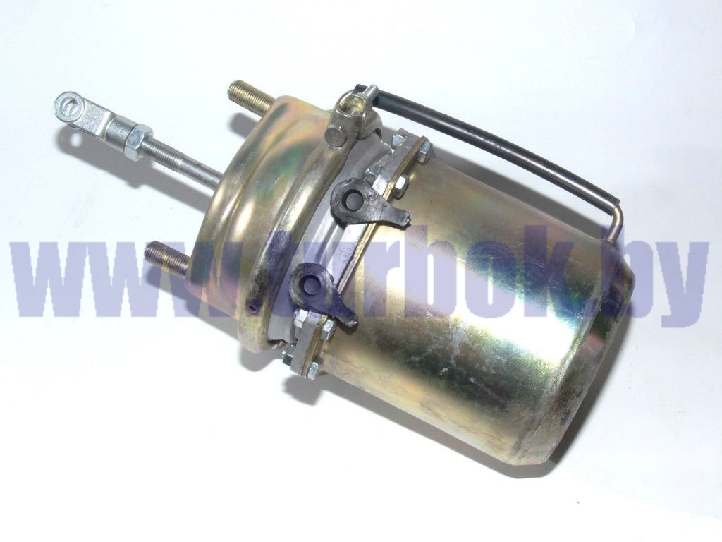 Камера тормозная (тип 20/20) задняя РФ