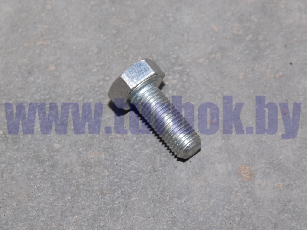 Болт М10*1.25-6gх25 суппорта, вала распределительного-