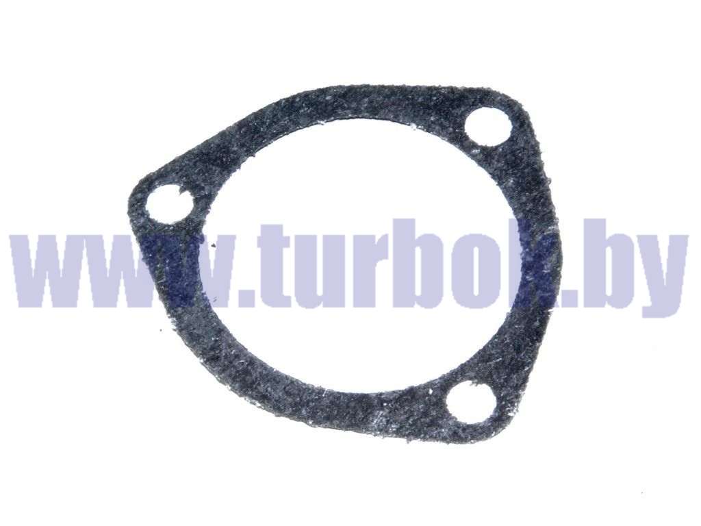 Прокладка насоса ГУР КАМАЗ-65115, 6520