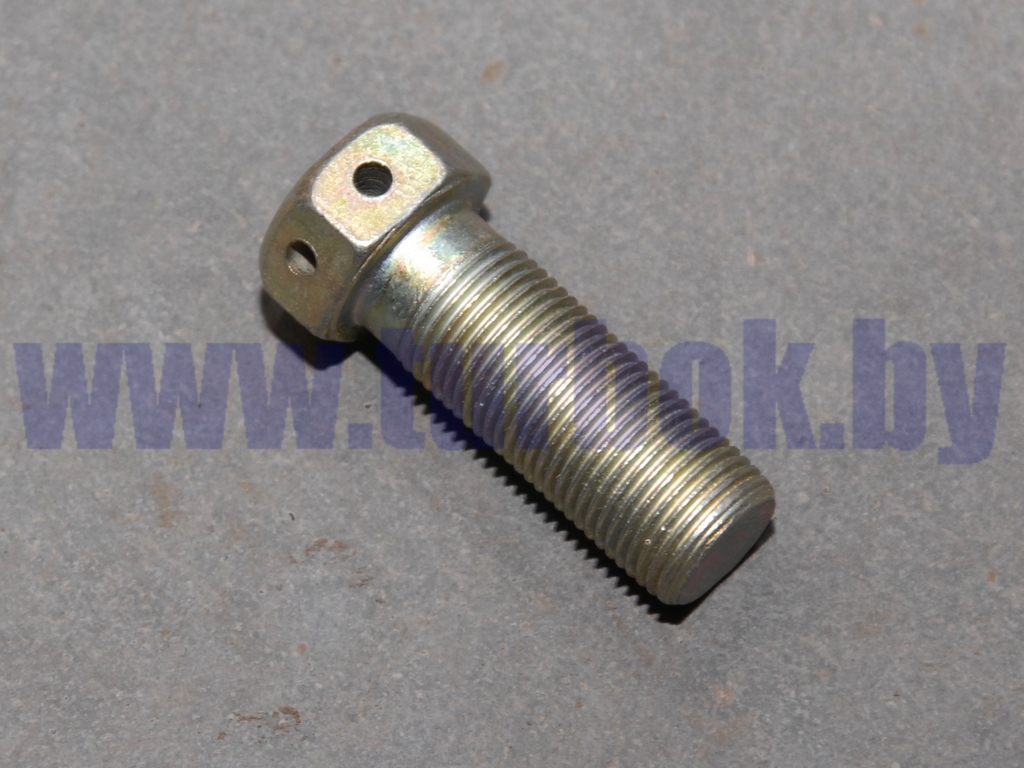 Болт 3М18*1.5-6дх50