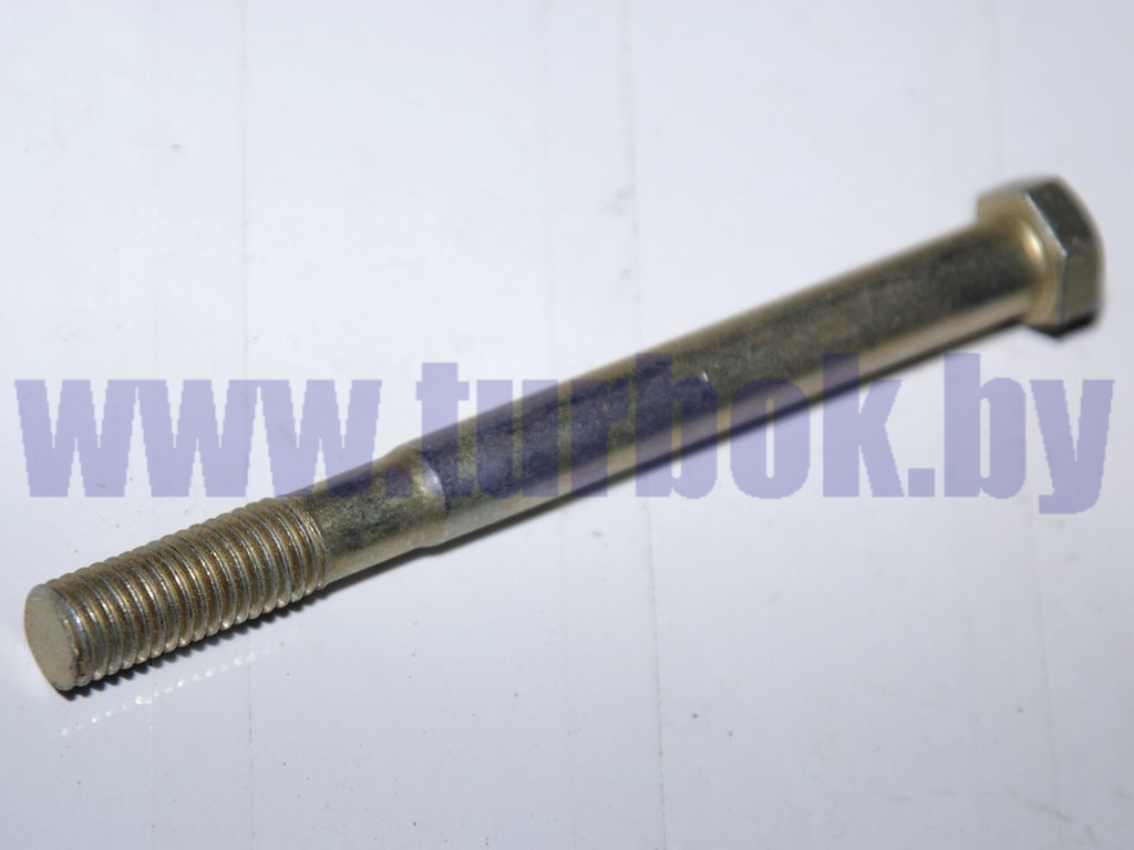 Болт М10-6дх110