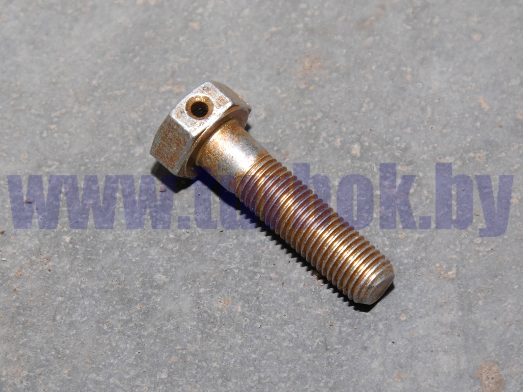 Болт М10*1,25-6gх40 КПП