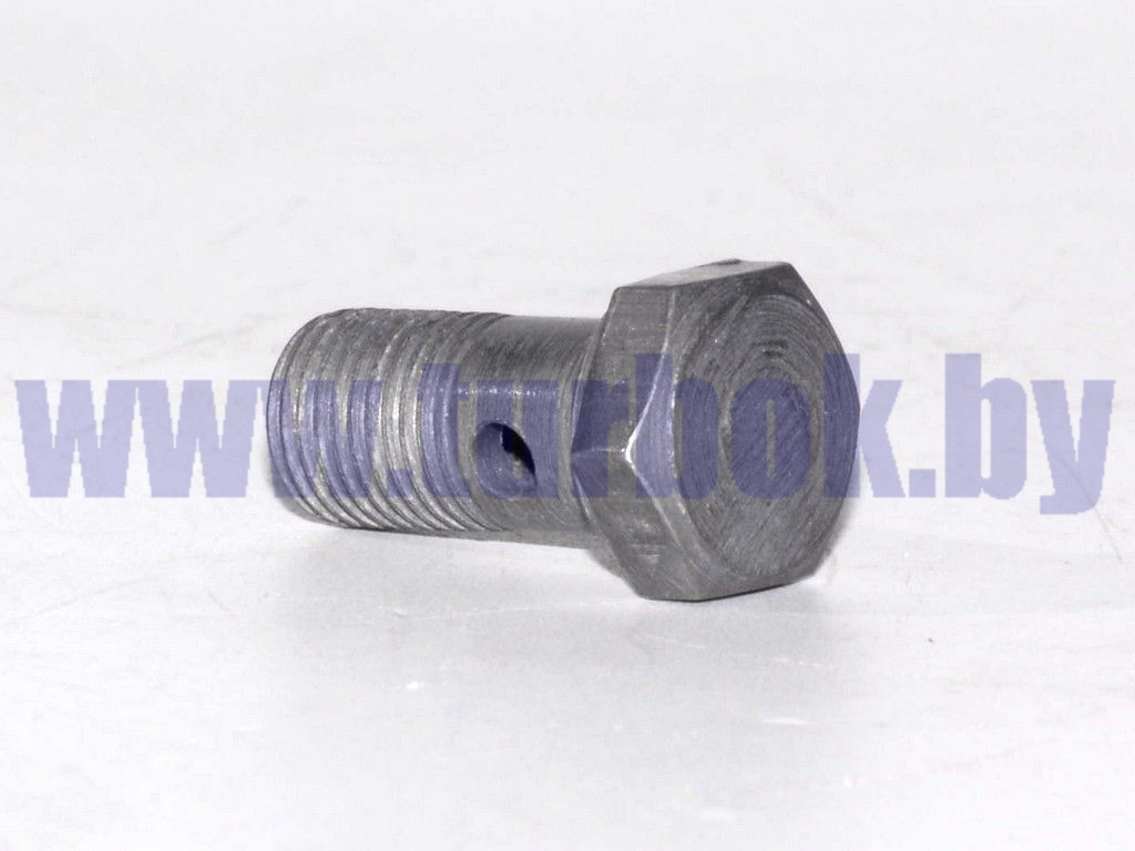 Болт штуцера