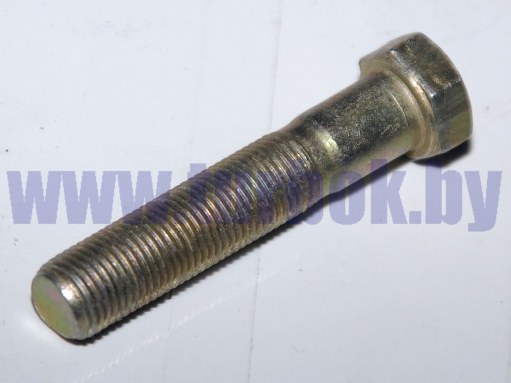 Болт М10*1-6п*50 карданный