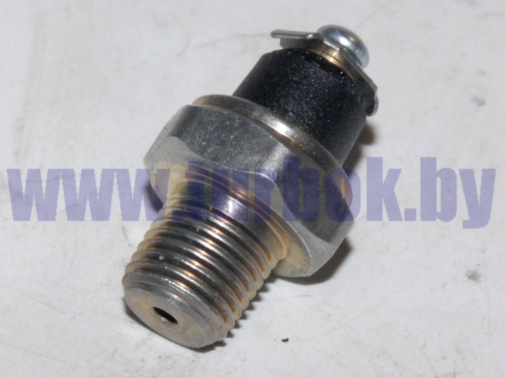 Датчик давления масла/6002.3829