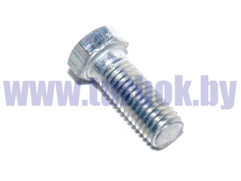 Болт М10-6g*25  ОСТ 37.001.123-96 МАЗ-4370