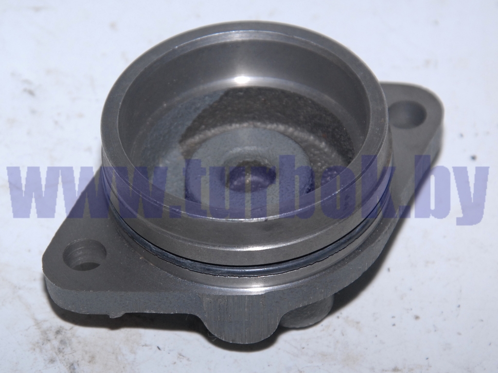 Корпус подшипника заднего