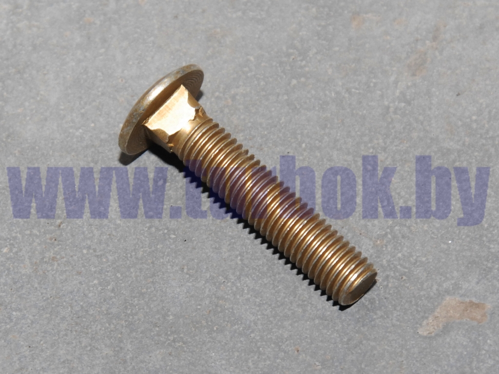Болт М10*6g петли створки двери с круглой шляпкой