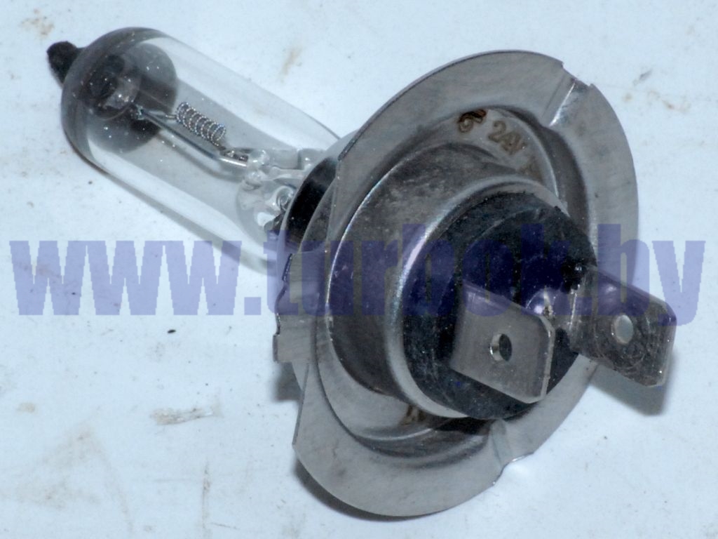 Лампочка 24В галогенная БЭЛЗ