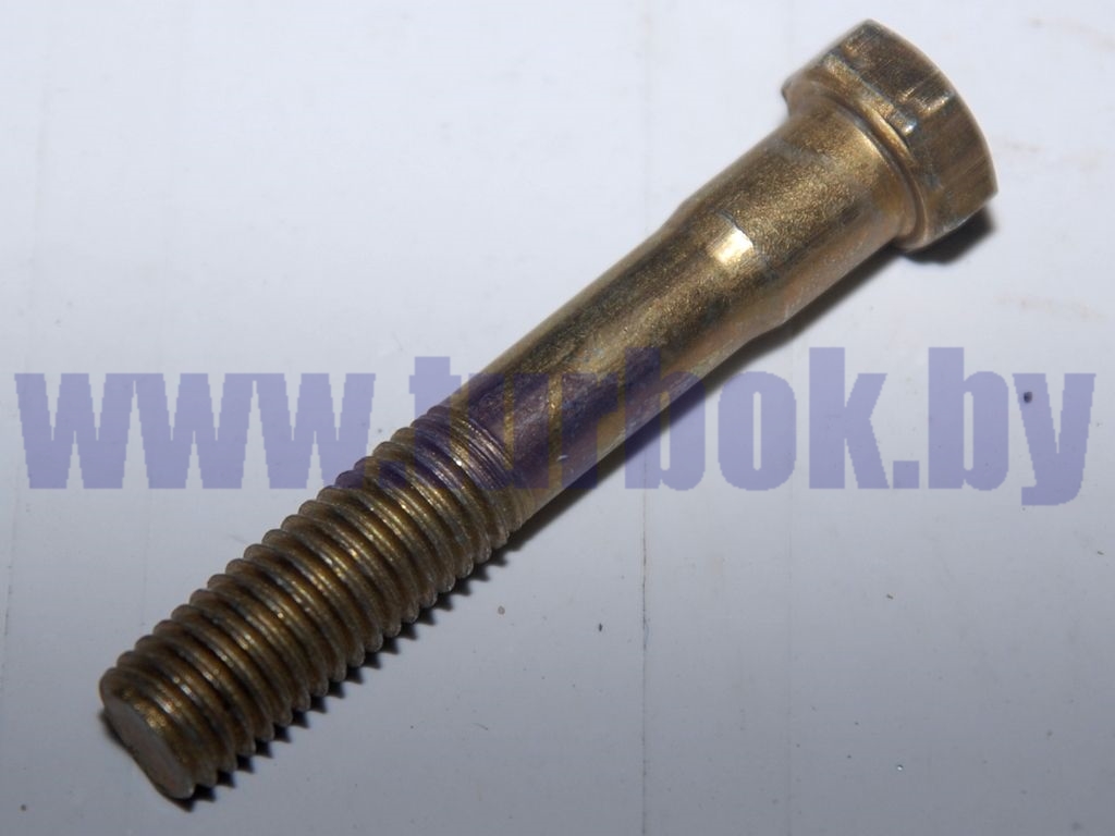 Болт М10-6дх60 ОСТ37.001.123-96