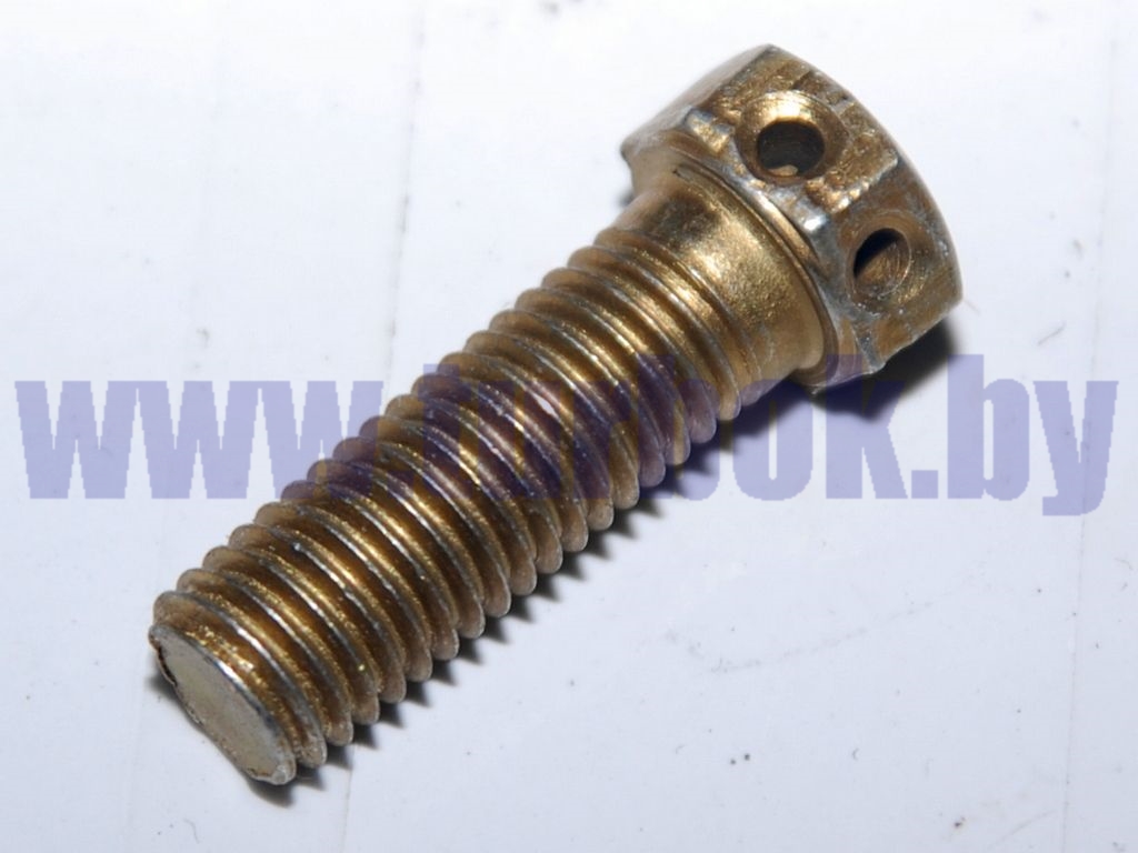 Болт 3М10-6нх3