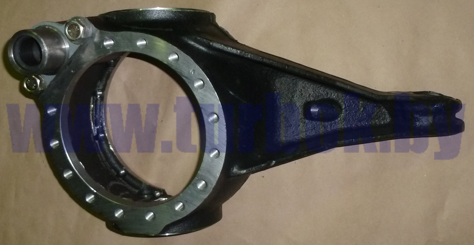 Корпус кулака поворотного левый в сборе