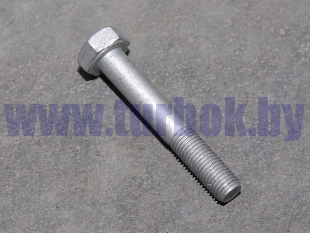 Болт М10*1.25х65-6gx65 табл.10312