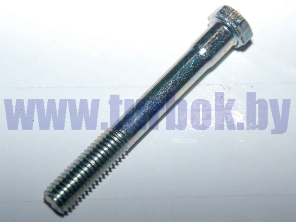 Болт М10-6g*80