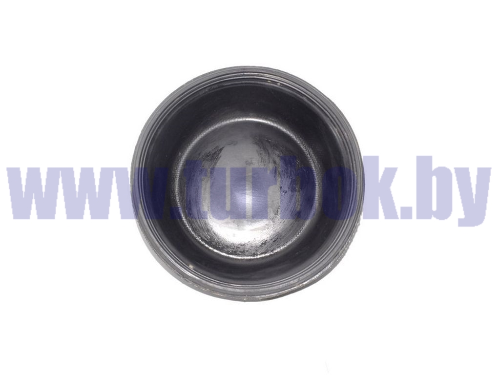 Диафрагма тормозной камеры (тип 20) 18.3519110